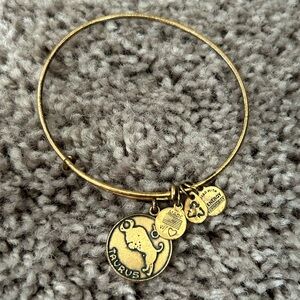 Alex and Ani Taurus Energy Bracelet Zodiac Sign Bangle Charm Bracelet